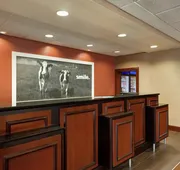 Hampton Inn Wichita Falls Sikes Senter Mall hotel detail image 4