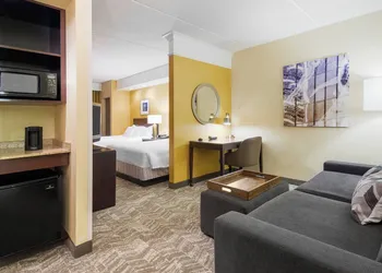 SpringHill Suites by Marriott Wheeling Tridelphia Area hotel thumbnail 6