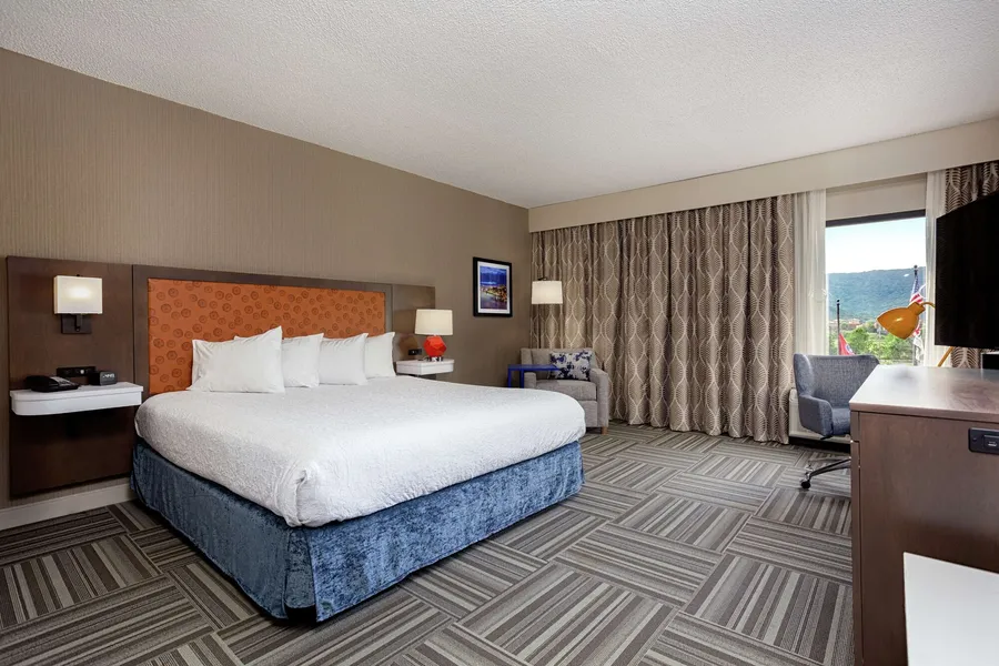Hampton Inn Kingsport hotel detail image 6