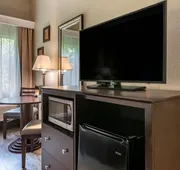 Comfort Inn & Suites DeLand - near University hotel detail image 7