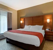 Comfort Suites Kingsport South hotel detail image 5