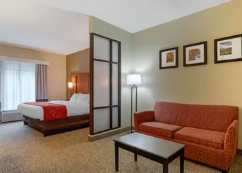 Comfort Suites Kingsport South hotel thumbnail 6