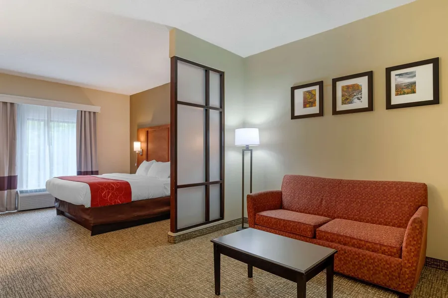 Comfort Suites Kingsport South hotel detail image 6