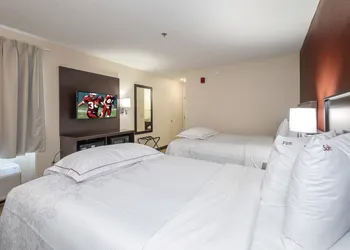 Red Roof Inn PLUS+ South Deerfield – Amherst hotel thumbnail 3