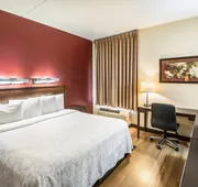 Red Roof Inn PLUS+ South Deerfield – Amherst hotel detail image 5
