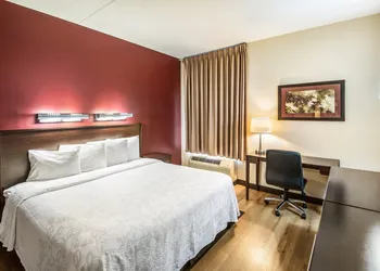 Red Roof Inn PLUS+ South Deerfield – Amherst hotel thumbnail 5