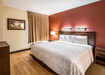 Red Roof Inn PLUS+ South Deerfield – Amherst hotel thumbnail 7