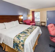 Days Inn by Wyndham Walterboro hotel detail image 7