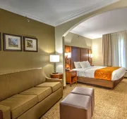 Comfort Suites Tomball Medical Center hotel detail image 4