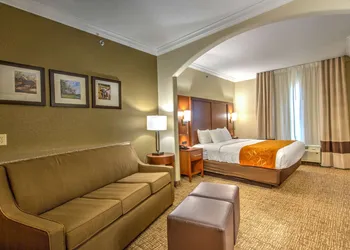 Comfort Suites Tomball Medical Center hotel thumbnail 4