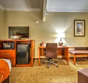 Comfort Suites Tomball Medical Center hotel detail image 7