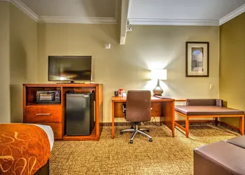 Comfort Suites Tomball Medical Center hotel thumbnail 7