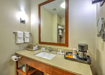 Comfort Suites Tomball Medical Center hotel thumbnail 8