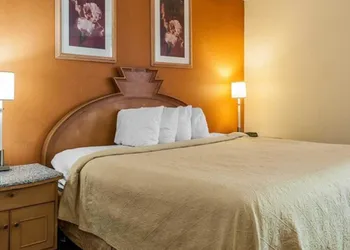 Quality Inn & Suites Shelbyville I-74 hotel thumbnail 5
