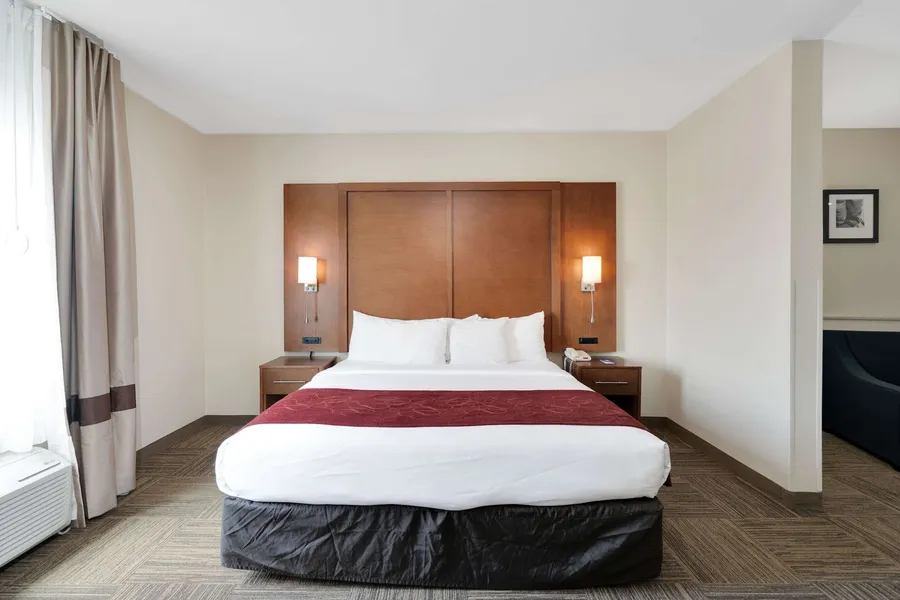 Comfort Suites University hotel detail image 6