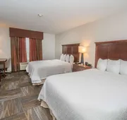 Hampton Inn & Suites Selma-San Antonio-Randolph AFB Texas hotel detail image 3
