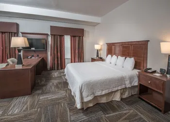 Hampton Inn & Suites Selma-San Antonio-Randolph AFB Texas hotel thumbnail 6