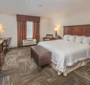 Hampton Inn & Suites Selma-San Antonio-Randolph AFB Texas hotel detail image 7