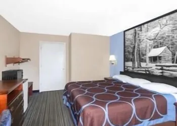 Super 8 by Wyndham Whiteville hotel thumbnail 7