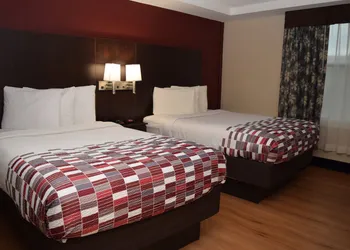 Red Roof Inn Batavia hotel thumbnail 6