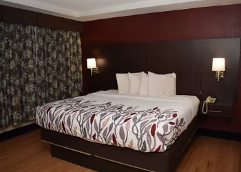 Red Roof Inn Batavia hotel thumbnail 7