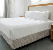 SpringHill Suites Detroit Auburn Hills hotel detail image 7