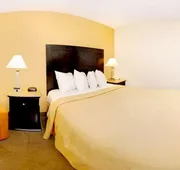 Quality Inn & Suites Wilson I-95 hotel detail image 7