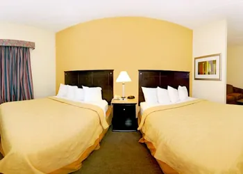 Quality Inn & Suites Wilson I-95 hotel thumbnail 8
