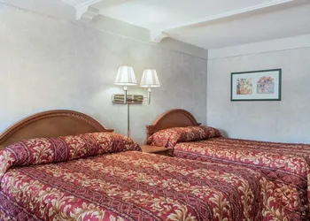 Travelodge by Wyndham Elkton University Area hotel thumbnail 2