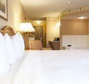 Country Inn & Suites by Radisson, Cedar Falls, IA hotel detail image 7