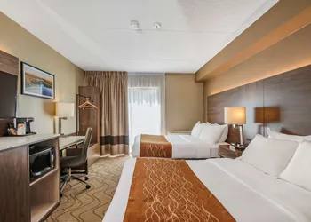 Comfort Inn Lakeshore hotel thumbnail 3