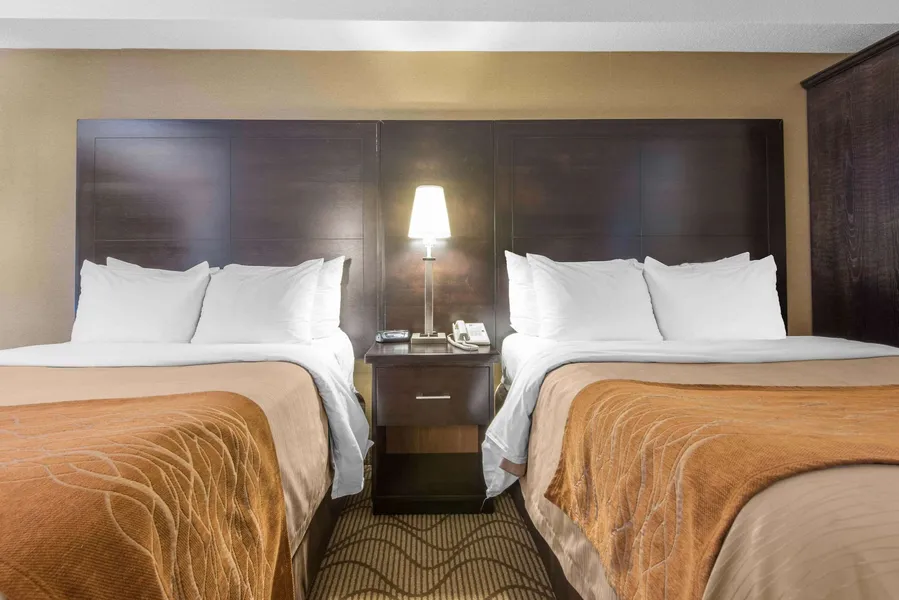Comfort Inn hotel detail image 6