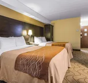 Comfort Inn hotel detail image 7