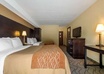 Comfort Inn hotel thumbnail 8