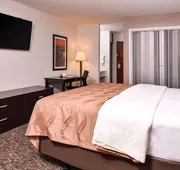 Quality Inn & Suites Beaumont hotel detail image 5