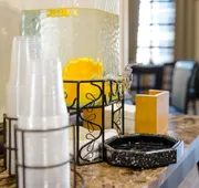 Hampton Inn & Suites Port Arthur hotel detail image 5