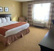 Country Inn & Suites by Radisson, Dundee, MI hotel detail image 7