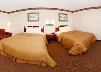 Quality Inn & Suites Tarboro - Kingsboro hotel thumbnail 8