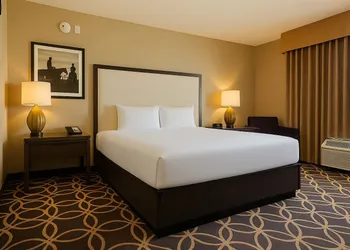 Zia Park Hotel hotel thumbnail 2