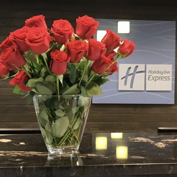 Holiday Inn Express & Suites Madison Central by IHG hotel detail image 2