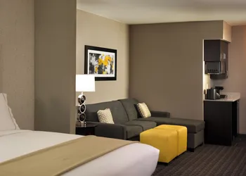 Holiday Inn Express & Suites Madison Central by IHG hotel thumbnail 8