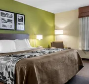 Sleep Inn & Suites Dothan North hotel detail image 7