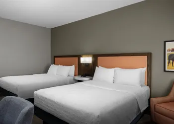 Hampton Inn Williamsburg hotel thumbnail 6