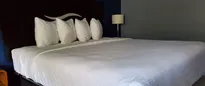 Hotel thumbnail 5