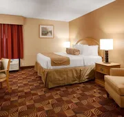 Best Western Martinsville Inn hotel detail image 4
