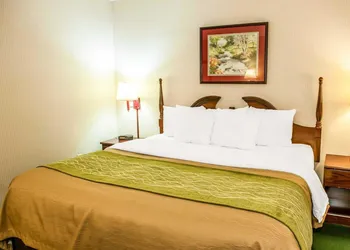 Quality Inn & Suites Lebanon I-65 hotel thumbnail 7
