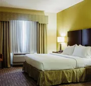 Holiday Inn Express & Suites Waller - Prairie View by IHG hotel detail image 4