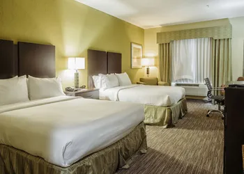Holiday Inn Express & Suites Waller - Prairie View by IHG hotel thumbnail 5