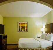 Holiday Inn Express & Suites Waller - Prairie View by IHG hotel detail image 7