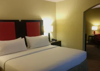 Holiday Inn Express & Suites Waller - Prairie View by IHG hotel thumbnail 8